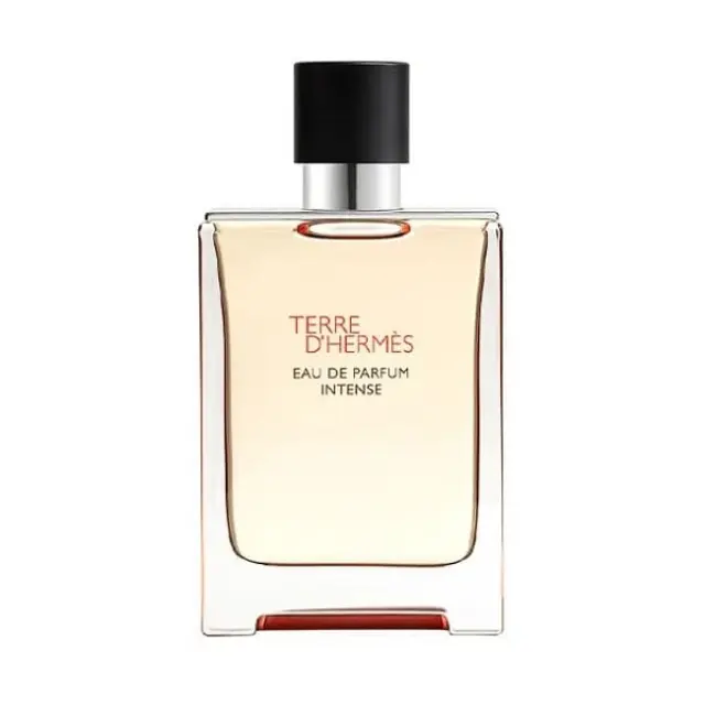 Hermès Terre D'Hermes Intense Eau de Parfum for men 50 ml