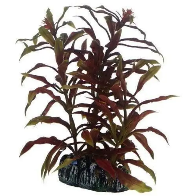 Hobby Διακοσμητικό Φυτό Ενυδρείου Nesaea 13cm