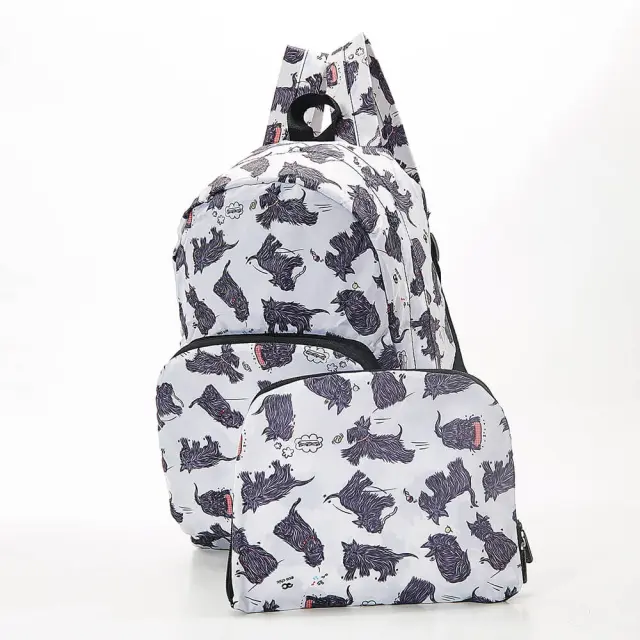 Eco Chic Αναδιπλούμενο Σακίδιο Πλάτης / Recycled Foldable Backpack (10 σχέδια) Scotty 3