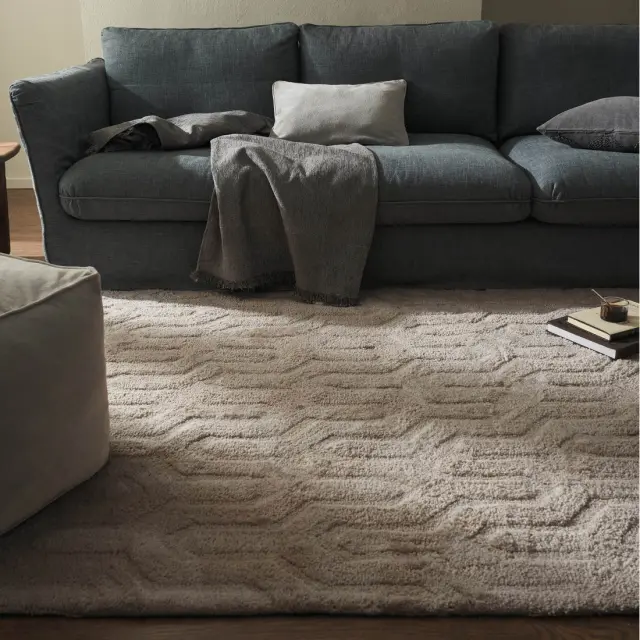 Χαλί Gofis Home Delaney  70-108-804/06 Soft Brown 200x290