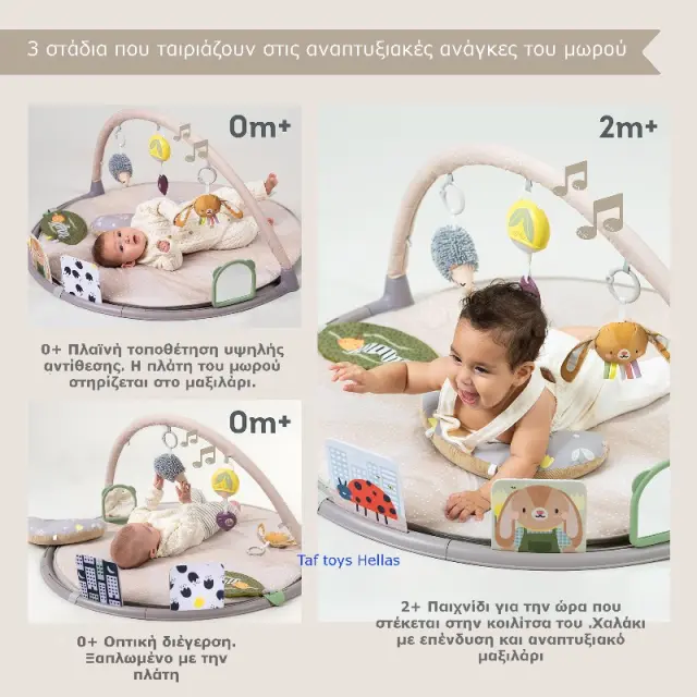 Taf Toys TUMMY-TIME ACTIVITY GYM 3