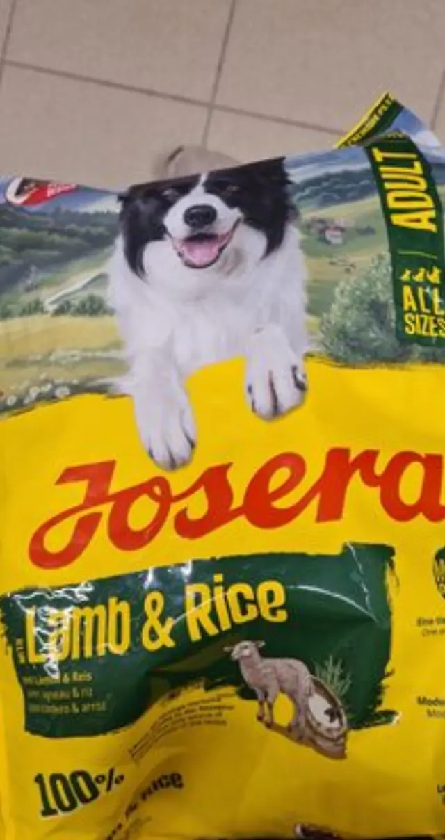 Ξηρά Τροφή Σκύλου Josera Adult Lamb & Rice 3kg