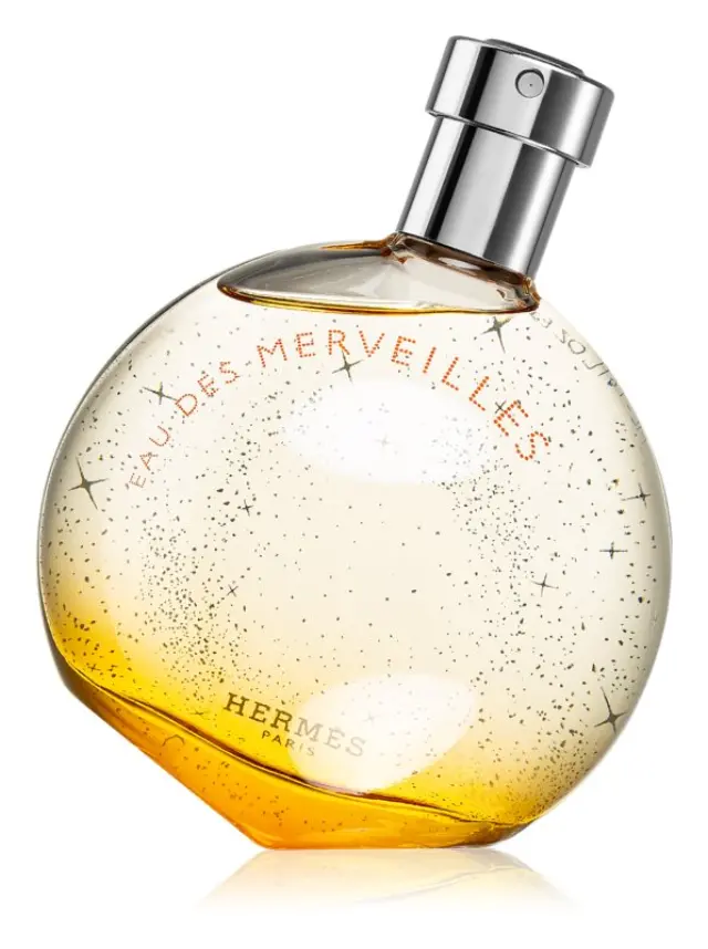 Hermès Eau des Merveilles Eau de Toilette for women 100 ml 2