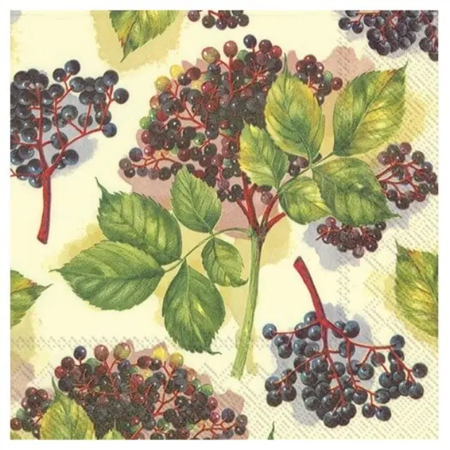Χαρτοπετσέτα για decoupage, Elderberry cream