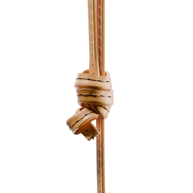 Classic City Sling 2024 2