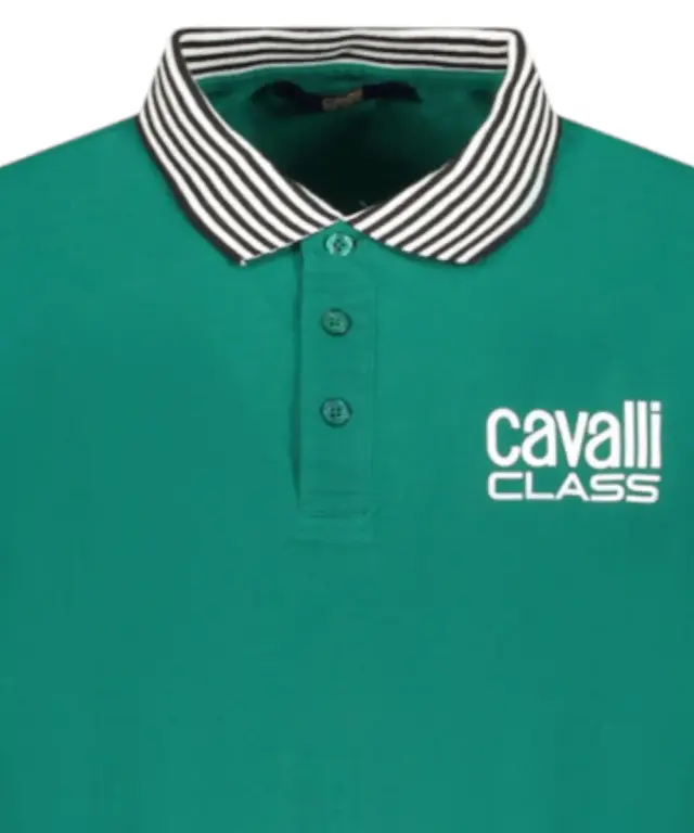 Cavalli Class - Ανδρική Μπλούζα T-Shirt Polo Short Sleeve TXT64EKB002-04038 Πράσινο 3
