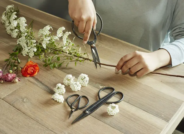Scissor Set For Garden SC37 - Gadgets