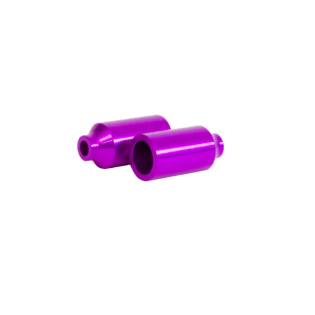 BLAZER PRO ALU CANISTΑ PEGS PURPLE