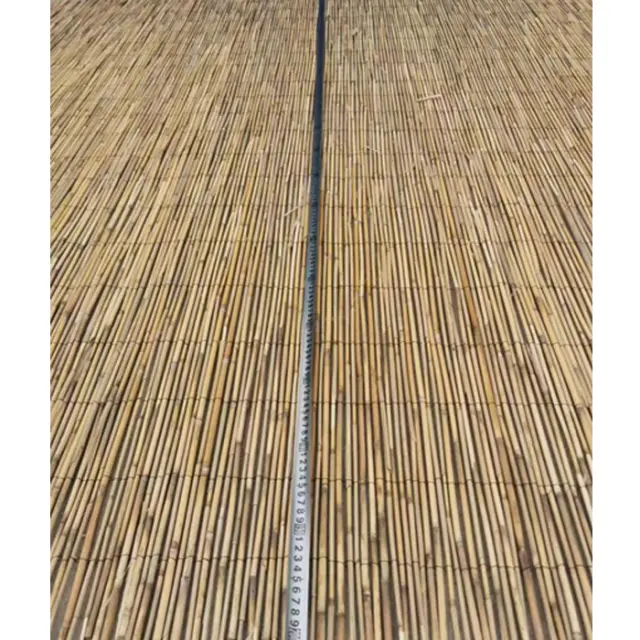 Καλαμωτή ELNICK Με Ολόκληρο Καλάμι 2x3m 3