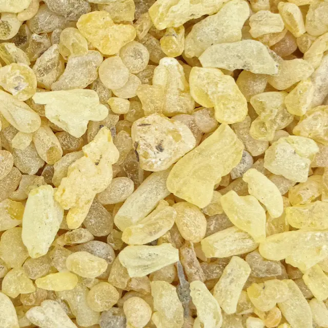 Kremer Κόμμι Σανδράκα σε Κόκκους - 50gr