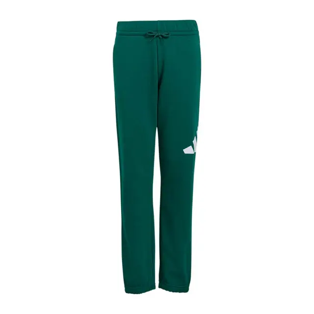 adidas Sportswear Boy's Big Logo French Terry 280 Pant Πράσινο KQ5232 (adidas Sportswear)
