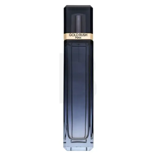 Paris Hilton Gold Rush Man Eau de Toilette for men 100 ml