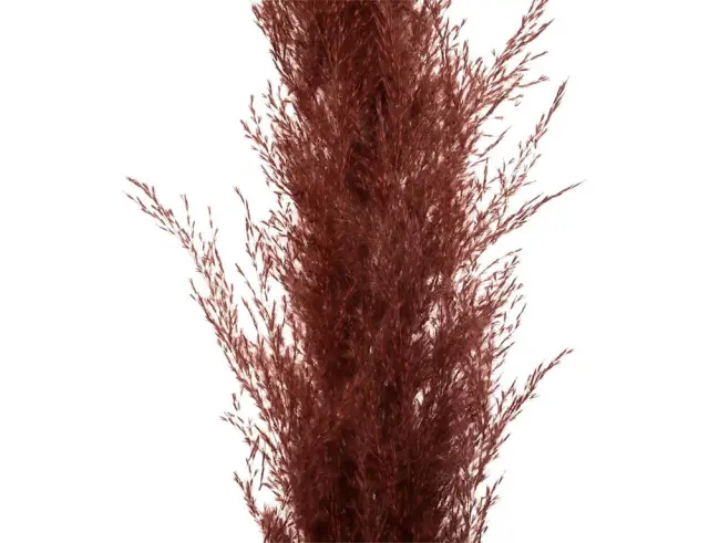 Διακοσμητικά κλαδιά Pampas Atmosphera - 109cm - 3 τεμάχια 189145 2