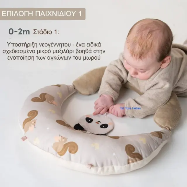 Taf Toys TUMMY TIME FIRST