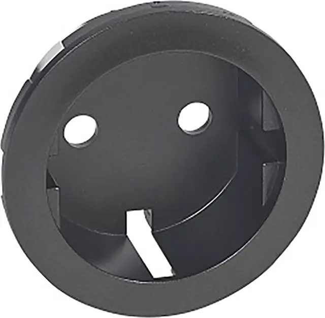 2P+E SCHUKO COVER GRAPHITE
