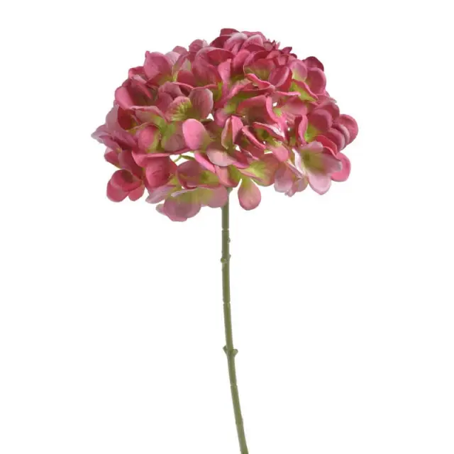 Ορτανσία κλαδί 48cm, magenta