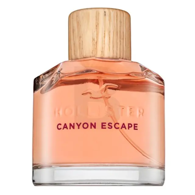 Hollister Canyon Escape Eau de Parfum for women 100 ml