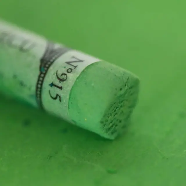 Sennelier Ξηρό Παστέλ 915 Forest Green (Χύμα)