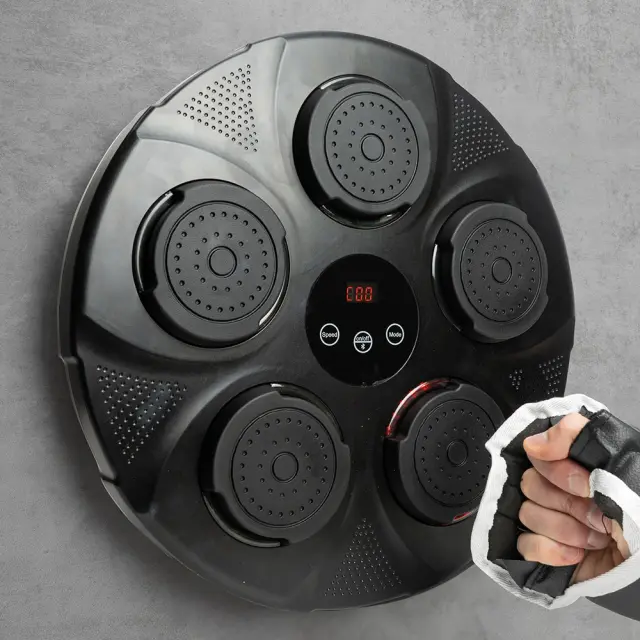 The Source Winning Διαδραστικός Στόχος Πυγμαχίας / Light Up Musical Boxing Pad 2