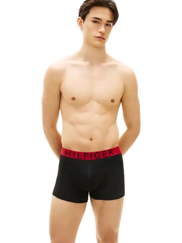 Tommy Hilfiger 3-Pack Logo Waistband Trunks σετ ανδρικό μπόξερ UM0UM03886-1 2