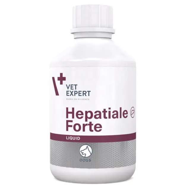 VetExpert Hepatiale Forte Liquid Συμπλήρωμα Διατροφής Σκύλου σε Σιρόπι 250ml για Συκώτι