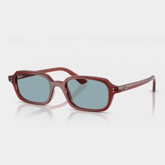 Γυαλιά Ηλίου Ray Ban RB4455 680980 Καφέ - 49