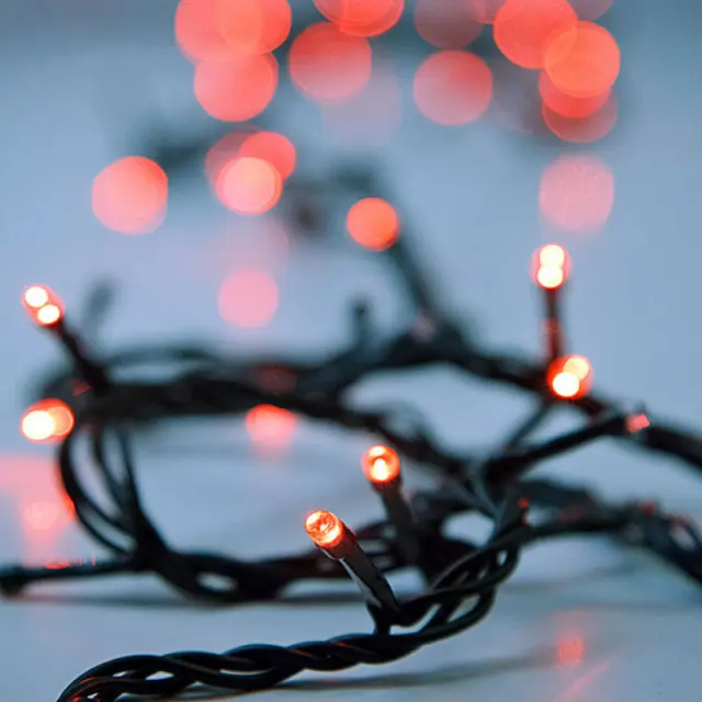 100 Led Σε Σειρά Με Πρόγραμμα Και Μετασχηματιστή Πράσινο Καλώδιο Χρωματιστό Led IP44