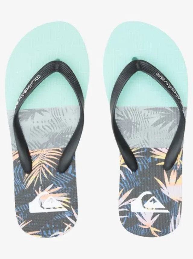QUIKSILVER MOLOKAI PANEL ΑΝΔΡΙΚΕΣ ΣΑΓΙΟΝΑΡΕΣ MULTI