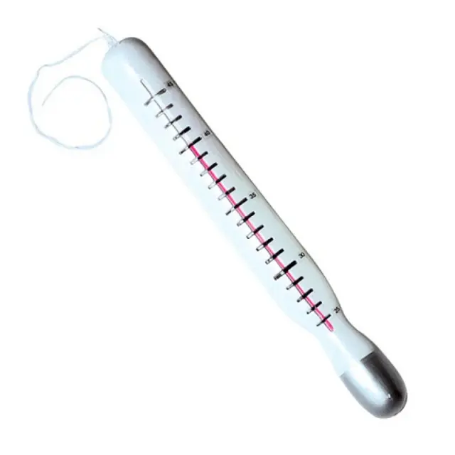 Widmann Giant Thermometer 2410A