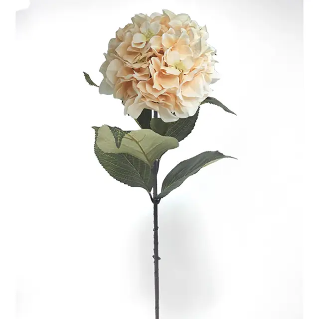 Ορτανσία χρώμα butter 83cm Zaros 25867 AX812