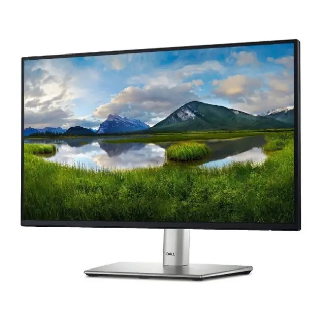 DELL P Series P2225H computer monitor 54.6 cm (21.5") 1920 x 1080 pixels Full HD LCD Black, Silver 2