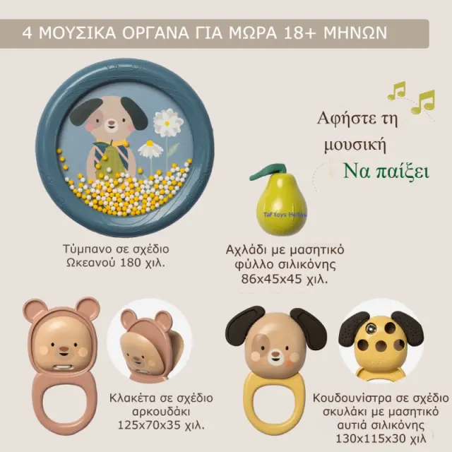 Σετ Μουσικής Ανακάλυψης Taf Toys T-13875 3