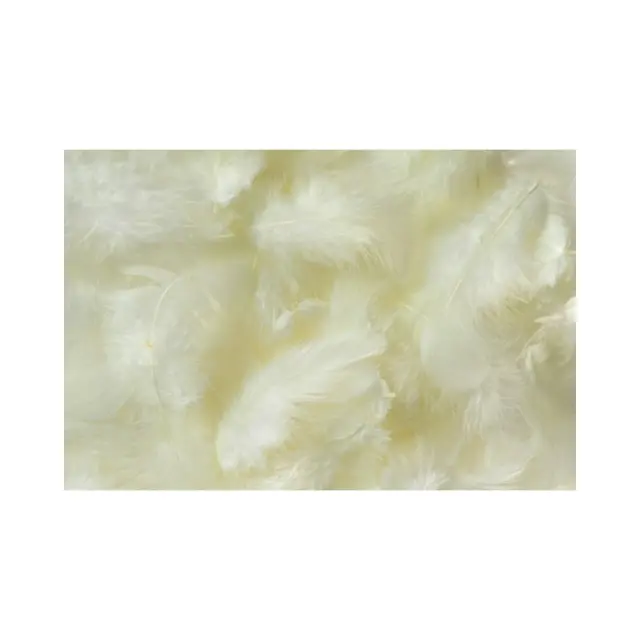 Φτερά πακέτο 10gr, cream