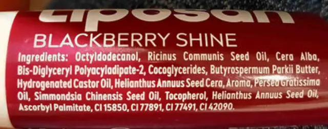 Liposan Blackberry Shine Lip Balm με Χρώμα 4.8gr 2