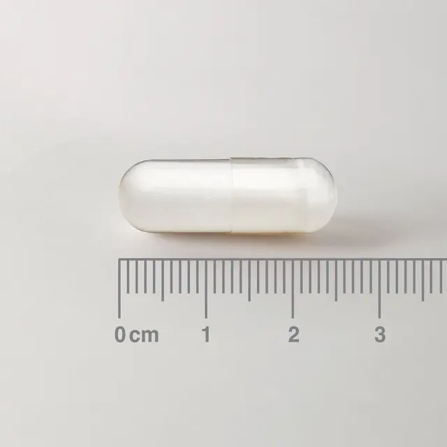 LAMBERTS L-Ornithine 500MG για την Λειτουργία του Ήπατος & του Ανοσοποιητικού Συστήματος, 60 caps 2