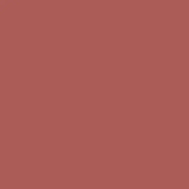 Lavish Care Matte Liquid Lipcolor Xtra Long Lasting Υγρό Κραγιόν No19, 6ml 2