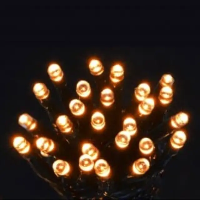 20 LED μπαταρίας με πρόγραμμα & χρονοδιακόπτη πράσινο καλώδιο, θερμό λευκό