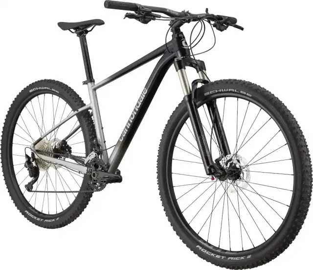 ΠΟΔΗΛΑΤΟ CANNONDALE TRAIL SL 4 29'' 021-025 - ΓΚΡΙ - LARGE 2