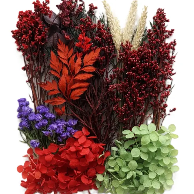 Αποξηραμένα λουλούδια mix, Crimson red