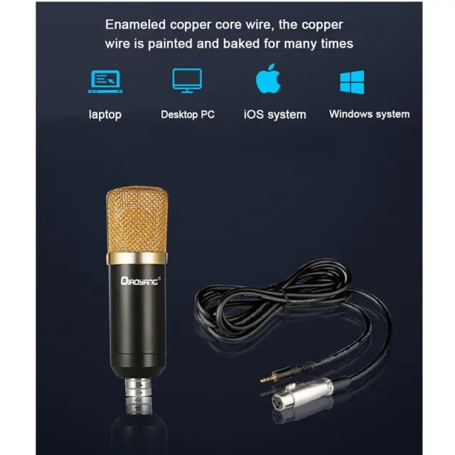 Qiaoyang επαγγελματικό σέτ μικροφώνου QA-T595 - Qiaoyang Professional microphone recording equipement QA-T595 400032 3