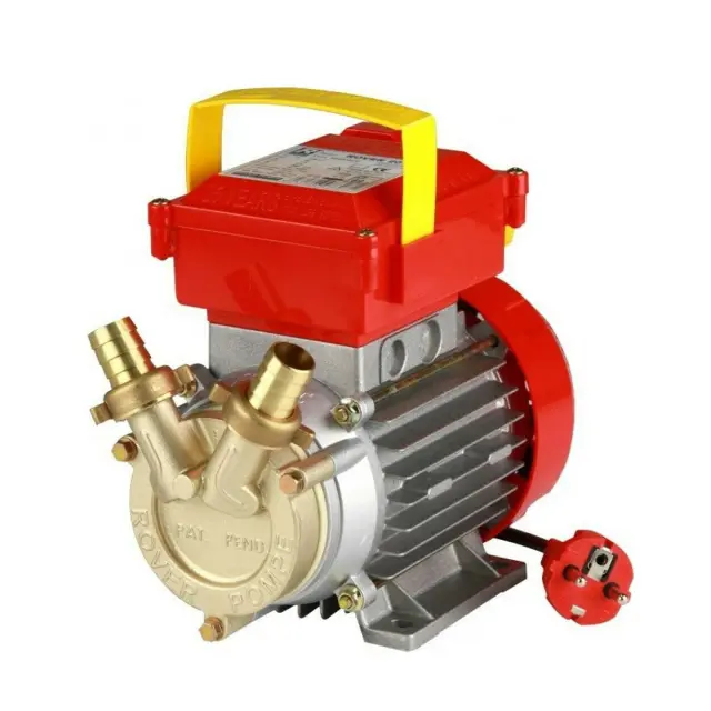 Rover Pompe ΒΕ-Μ 35 Αντλία μετάγγισης με ιπποδύναμη 1 HP μπρούτζινη / 101353