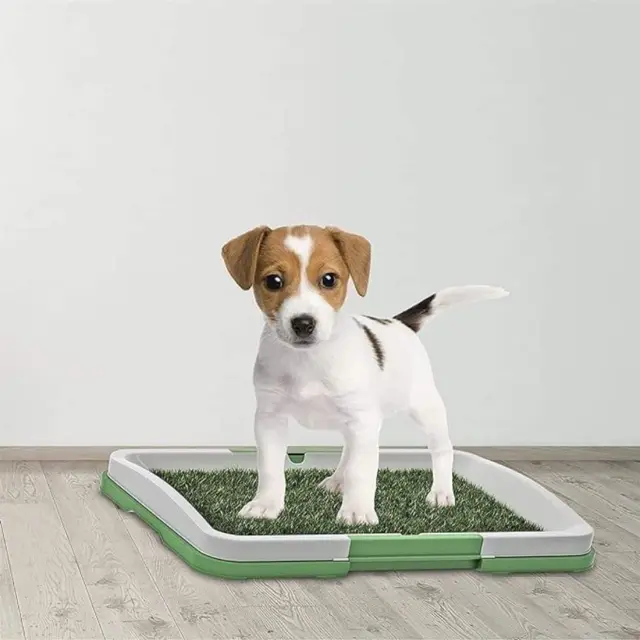 Τουαλέτα Σκύλου Puppy potty pad 46.5x34.5x6.5cm 2
