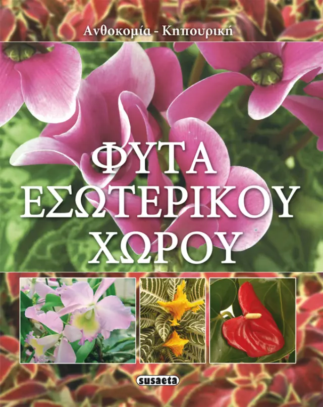Φυτά εσωτερικού χώρου