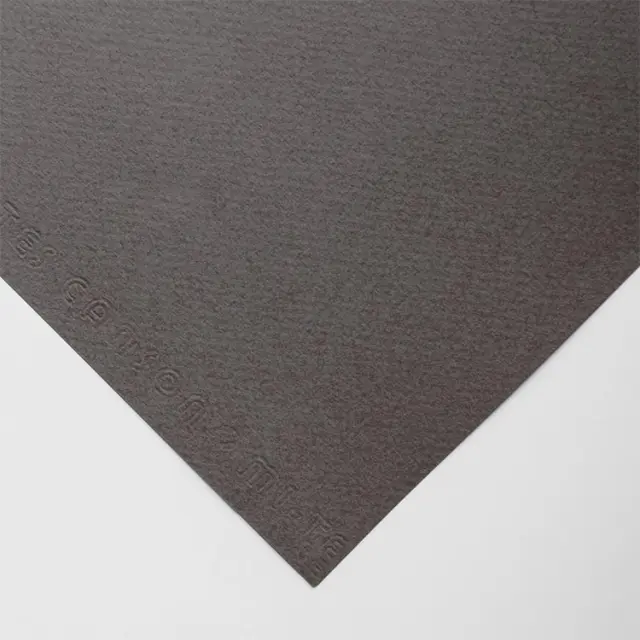 Χαρτόνι Canson Mi-Teintes 160g/m² 65x50cm - 185 Graphite