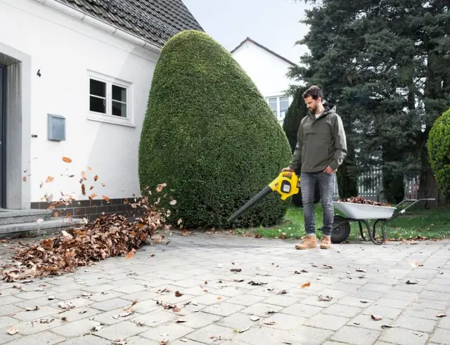 Φυσητήρας Μπαταρίας Χειρός Karcher LBL 4/36V Set Με Μέγιστη Ταχύτητα αέρα 250 km/h 1.445-160.0 2