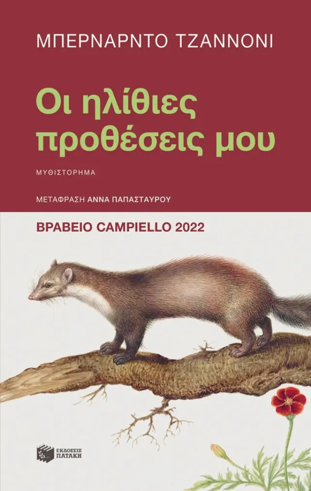 Οι ηλίθιες προθέσεις μου