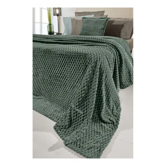 Σετ Κουβέρτα Fleece Υπέρδιπλη και Μαξιλαροθήκη Διακόσμησης Guy Laroche Smoothie Pesto 220x240 2
