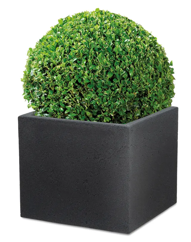 Scheurich C-Cube Stony Black 240/40