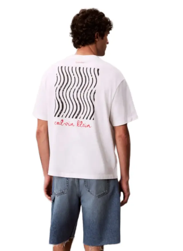 Calvin Klein ανδρικό t-shirt με γραφικό λογότυπο LV04RG816G-1 2