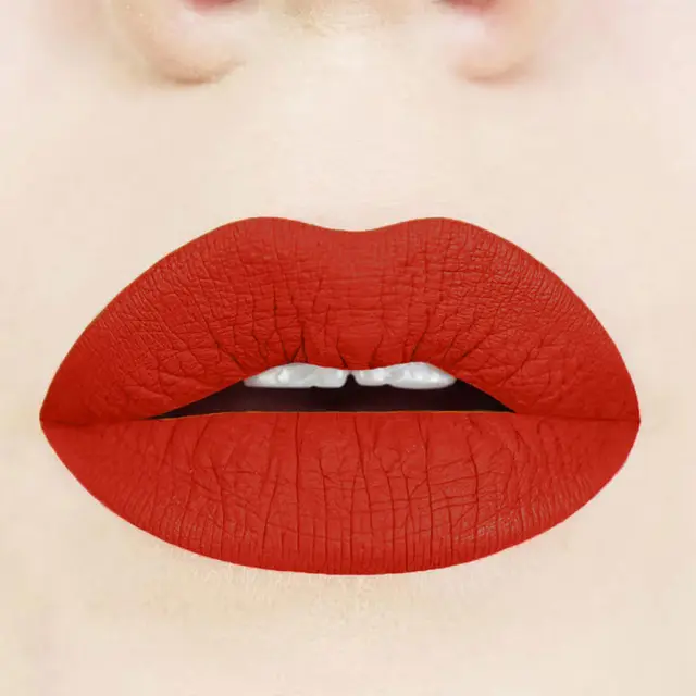 Pure Matte Liquid Lipstick: No 29 2
